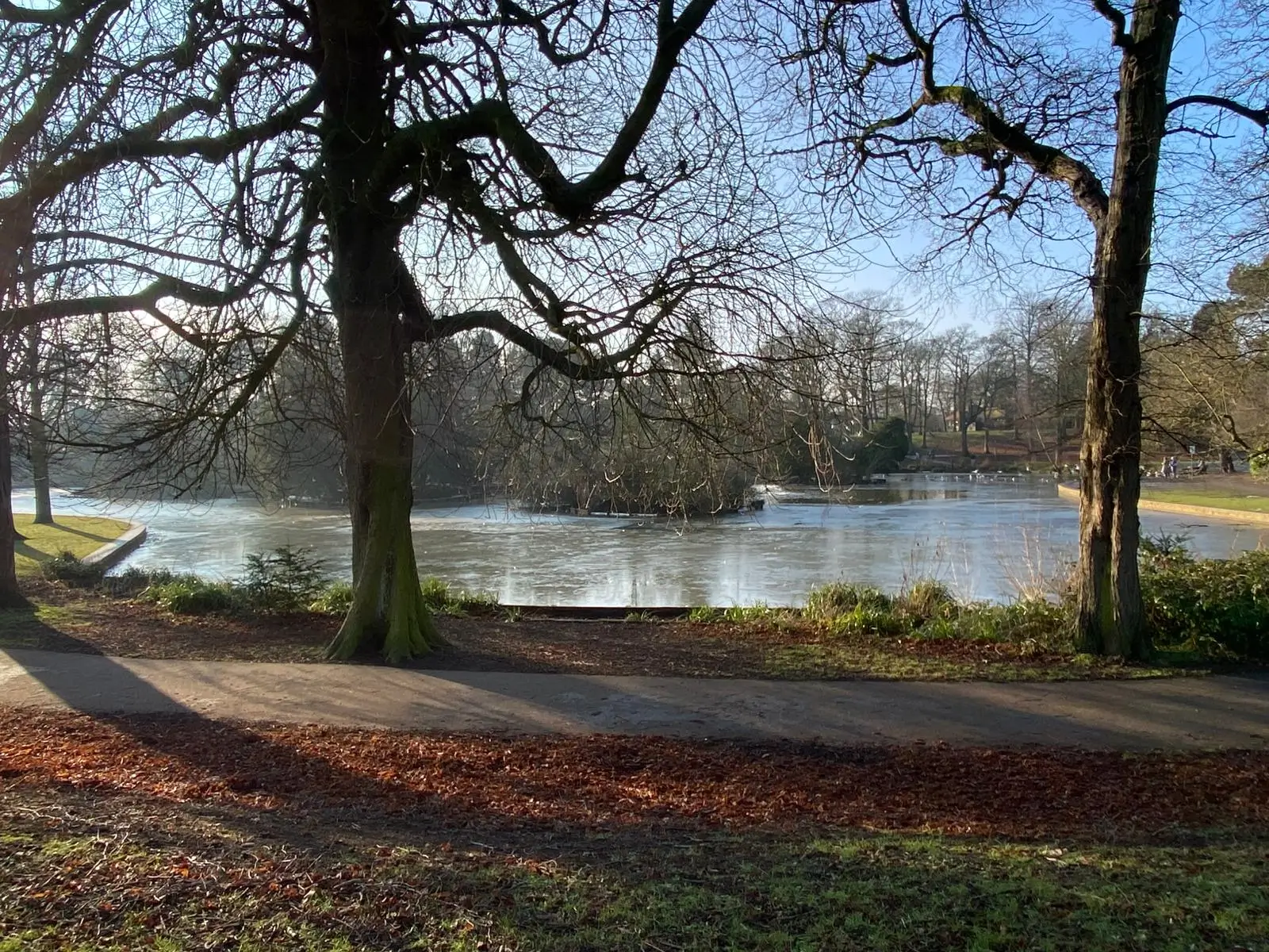South Park lake on a clear and sunny day